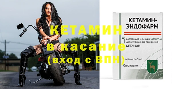 крисы Баксан