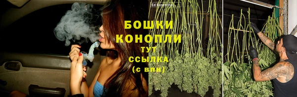 бошки Аркадак